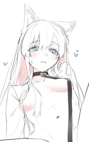 Sasa Fune