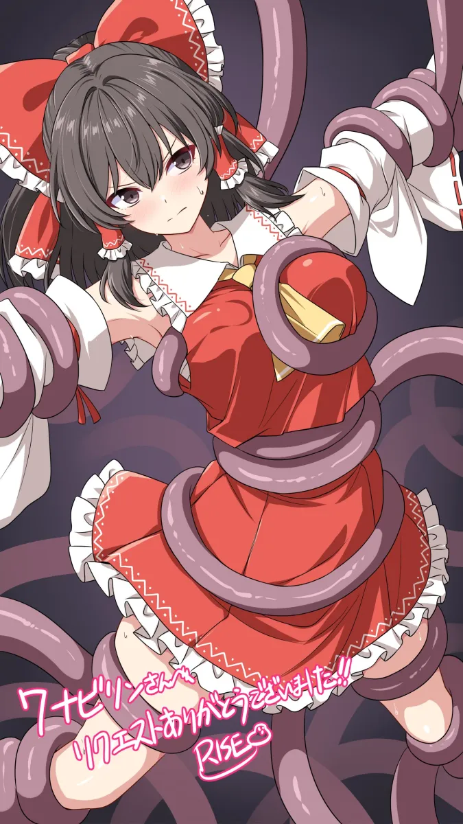 Hakurei Reimu by Rise (Rise19851203)