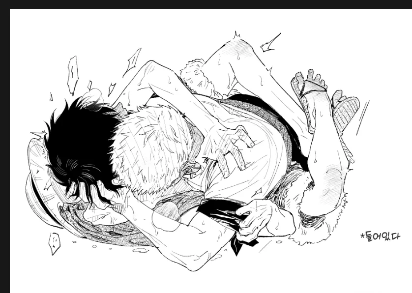 Monkey D. Luffy, Roronoa Zoro by Hurezasick