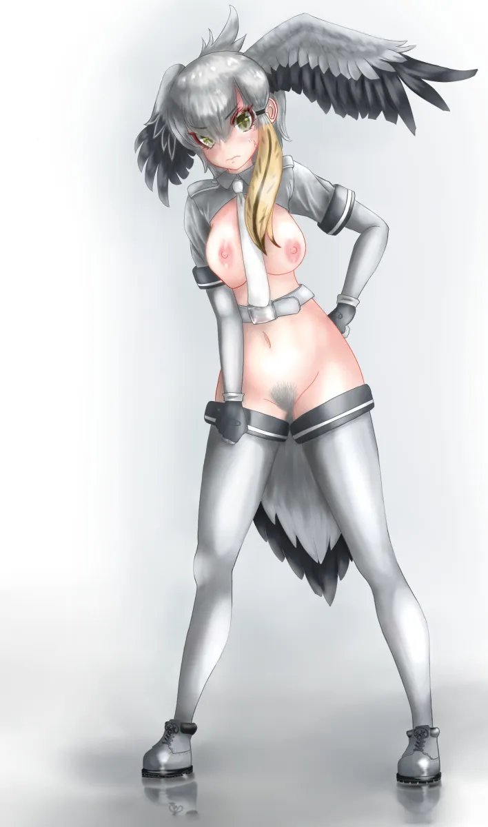 Shoebill (Kemono Friends) by Tomoki (Vg30Et1985)