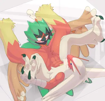 Blaziken rule 34