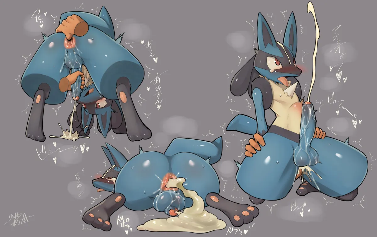 Lucario by Shourin Bonzu