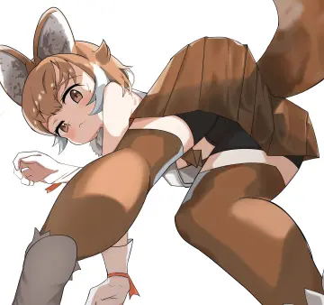 Dhole (Kemono Friends) rule 34