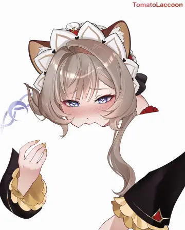 Tomatolaccoon
