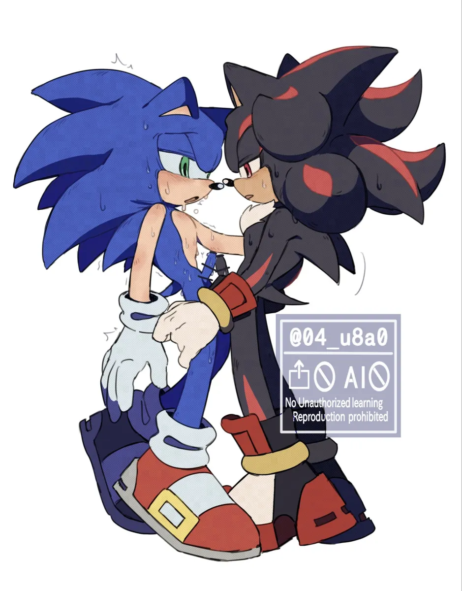 Sonic The Hedgehog, Shadow The Hedgehog by 04 U8A0