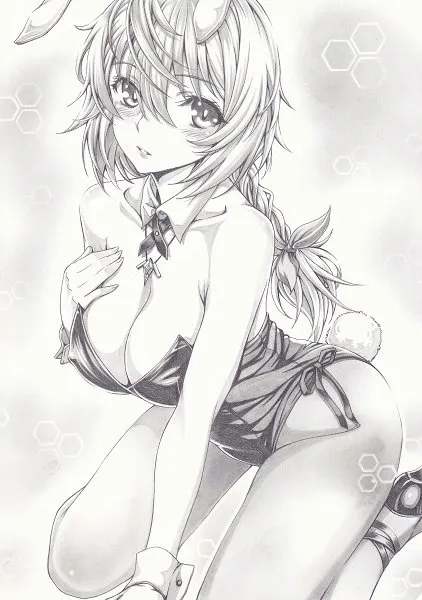 Charlotte Dunois by Mikuro