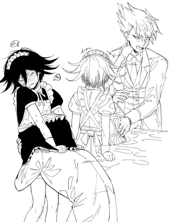 Maid Apron