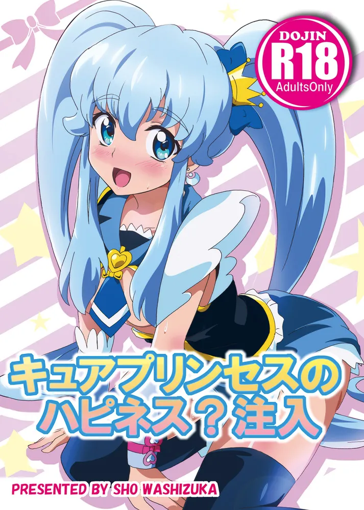 Shirayuki Hime (Precure), Cure Princess by Washizuka Shou
