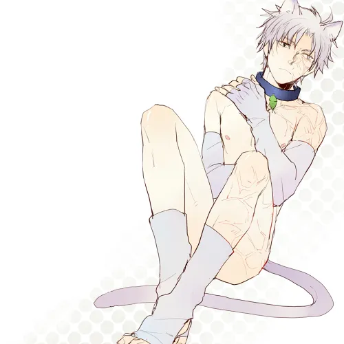 Matou Kariya by Pinki (Shounenkakuseiya)