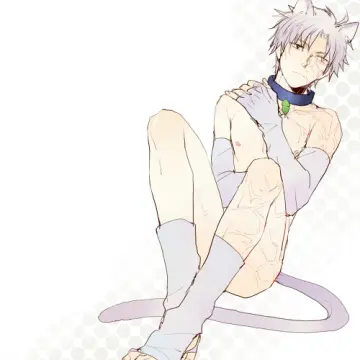 Matou Kariya rule 34
