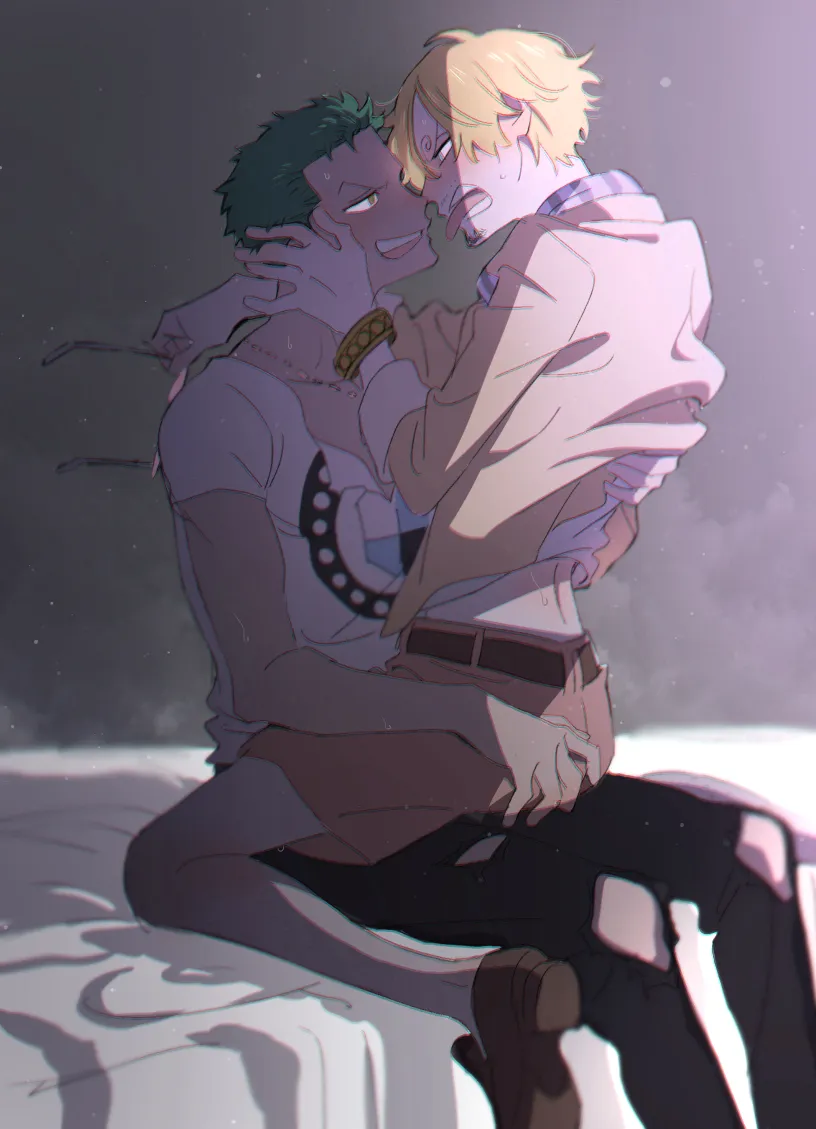 Roronoa Zoro, Sanji (One Piece) by Taro (Honyarara00)