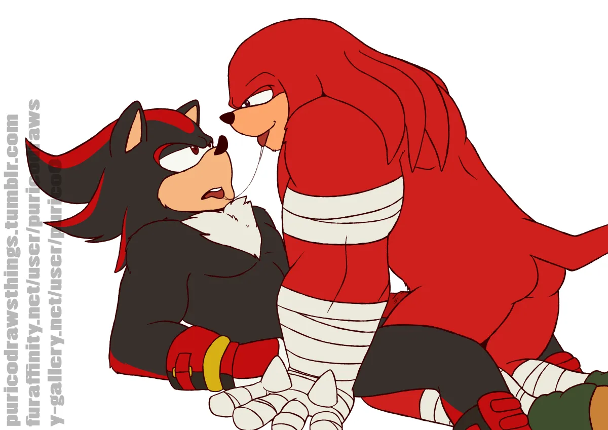Shadow The Hedgehog, Knuckles The Echidna by Puri Porn
