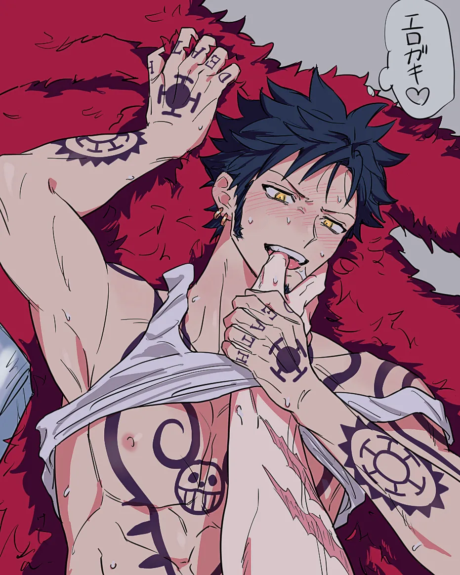 Trafalgar Law, Eustass Kid by Yakumo (Ykm)