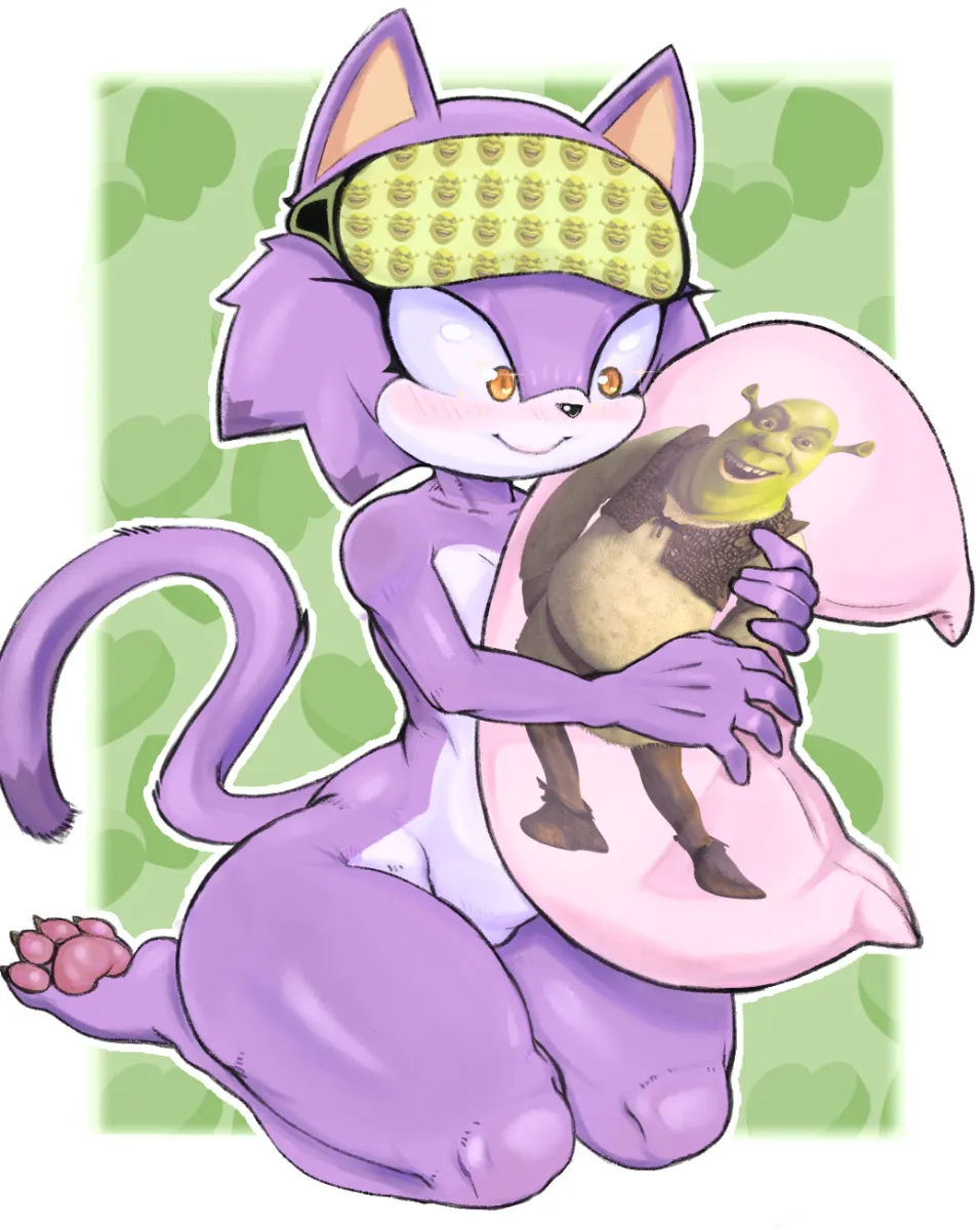 Blaze The Cat, Shrek by Colono