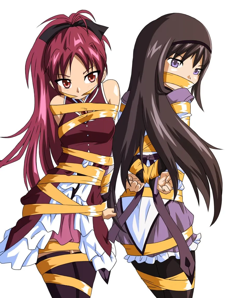Akemi Homura, Sakura Kyoko by Rocatart
