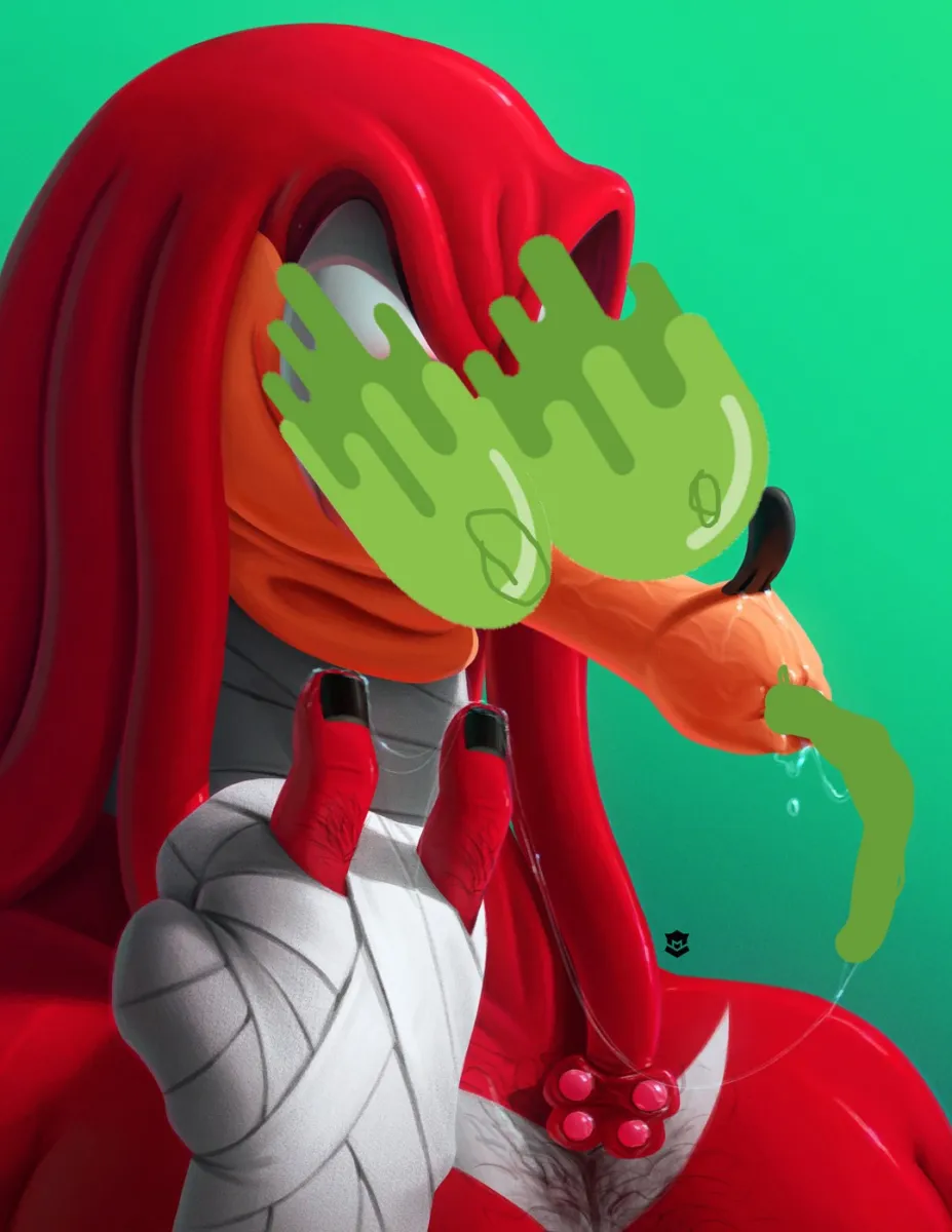 Knuckles The Echidna
