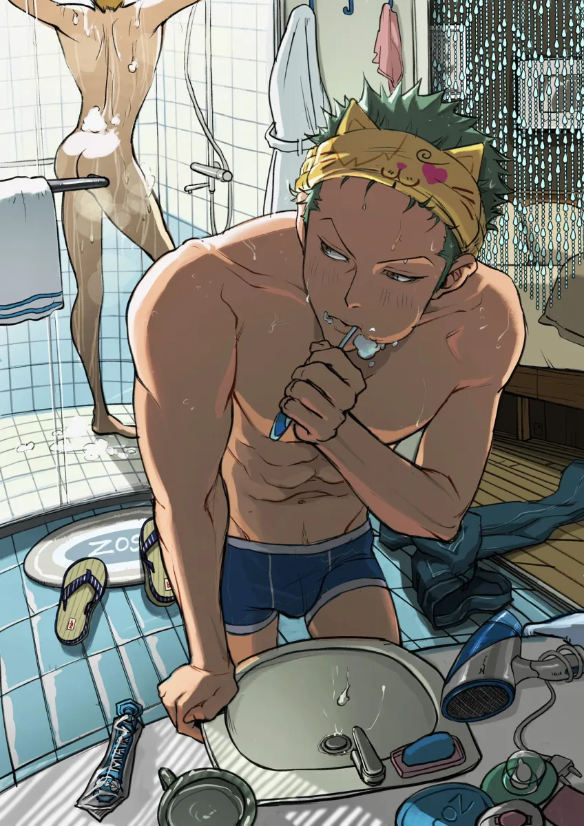 Roronoa Zoro, Sanji (One Piece) by Suanminico