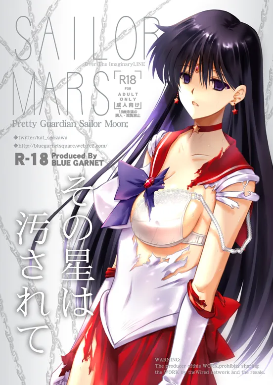 Hino Rei, Sailor Mars by Serizawa Katsumi