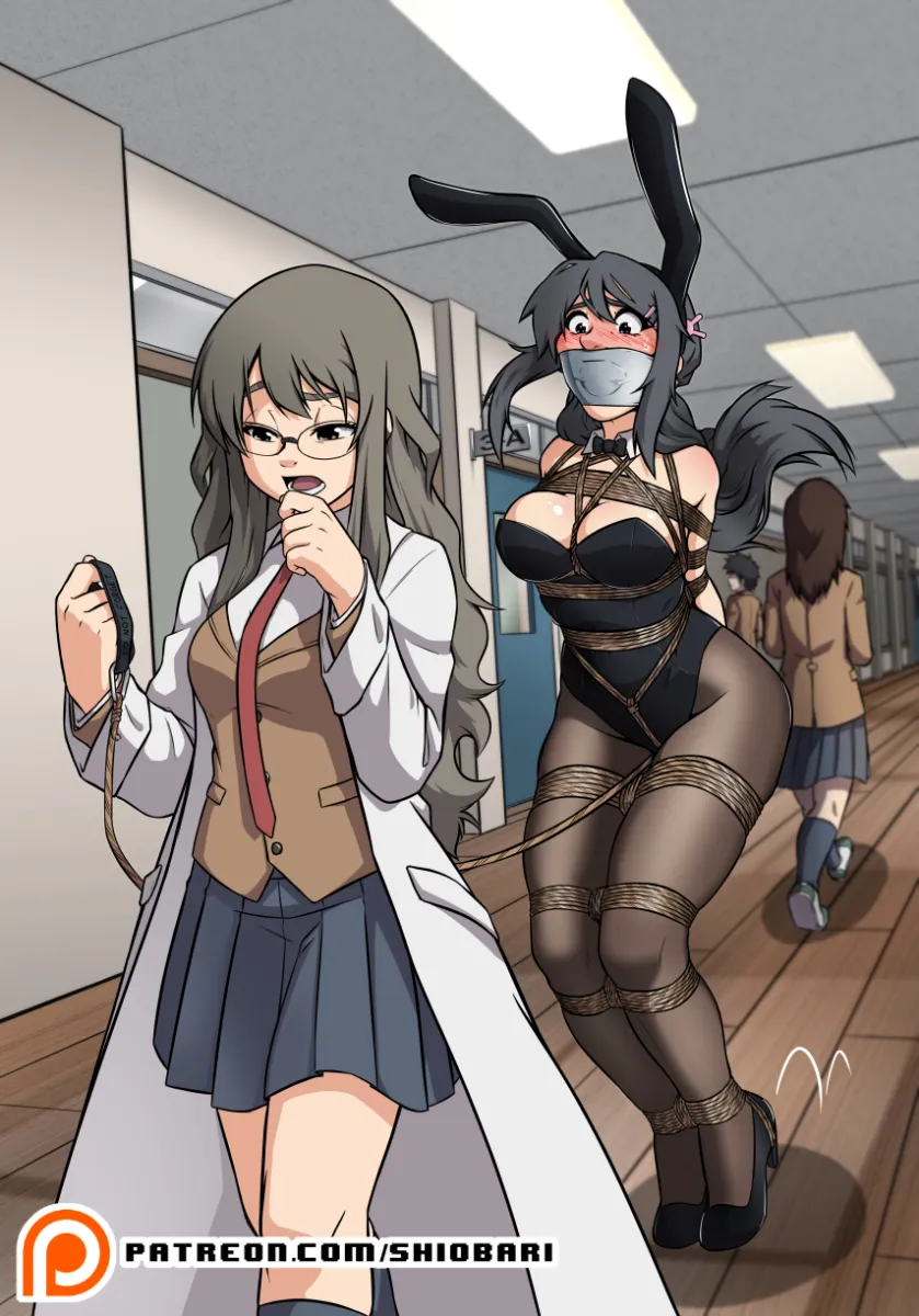 Sakurajima Mai, Futaba Rio by Shio-Bari