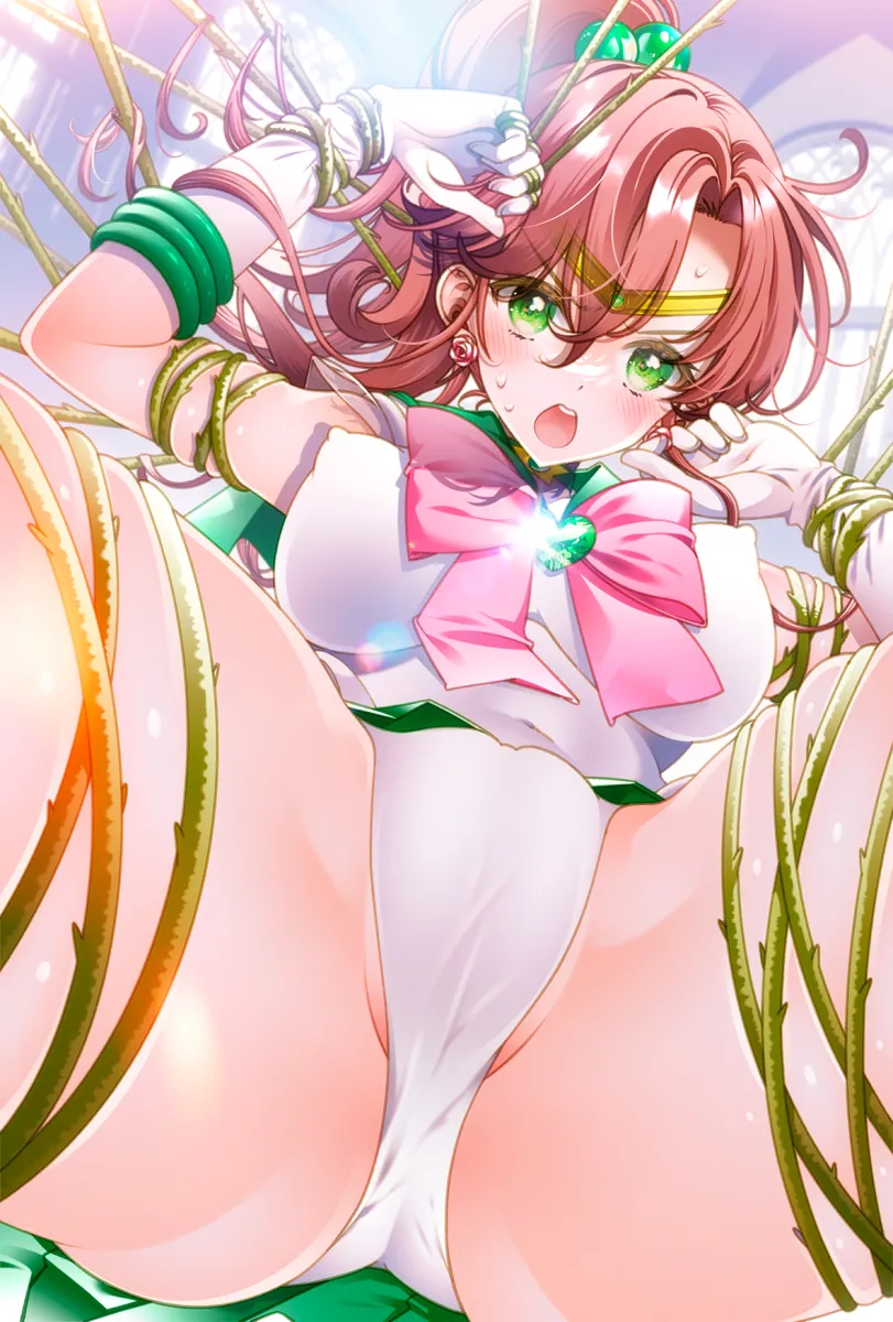 Kino Makoto, Sailor Jupiter by Macarony