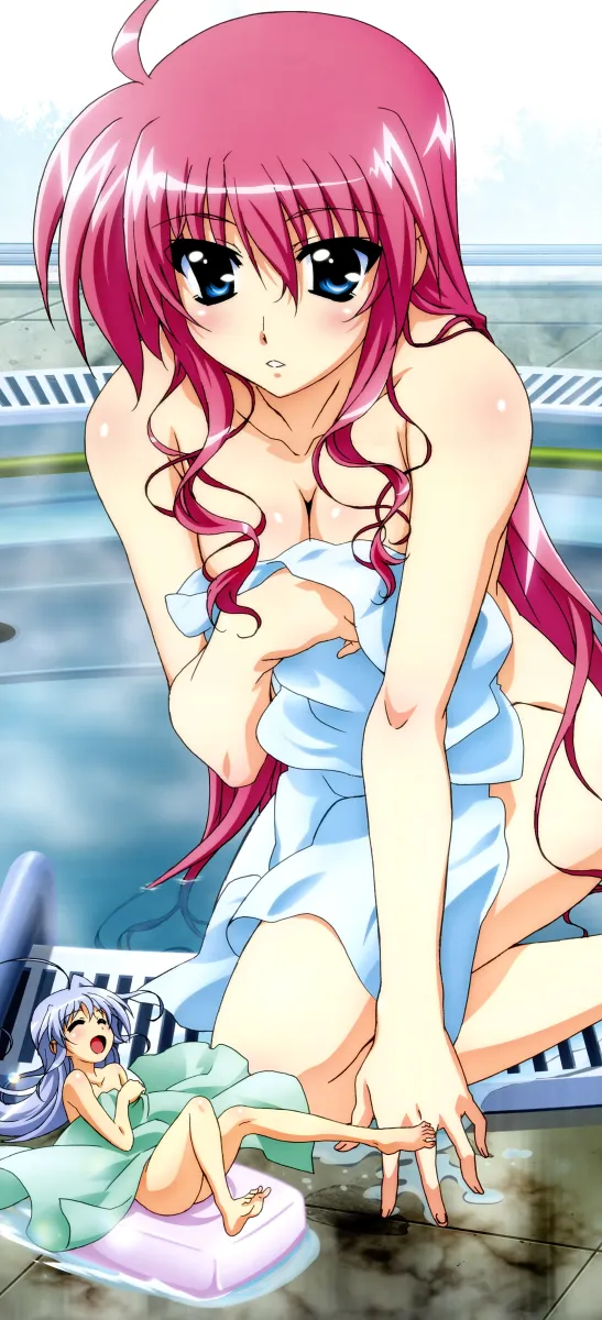 Signum, Reinforce Zwei by Hashimoto Takayoshi