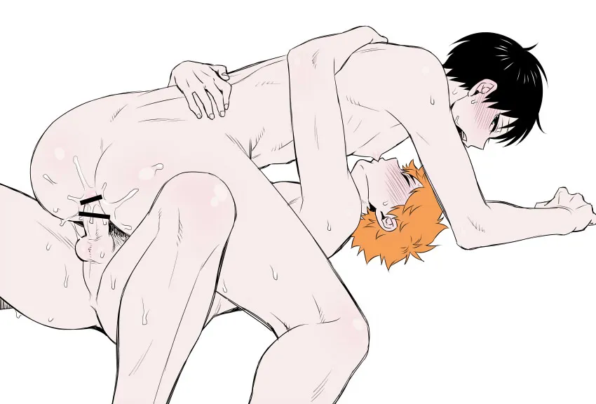 Hinata Shouyou, Kageyama Tobio by Zantou
