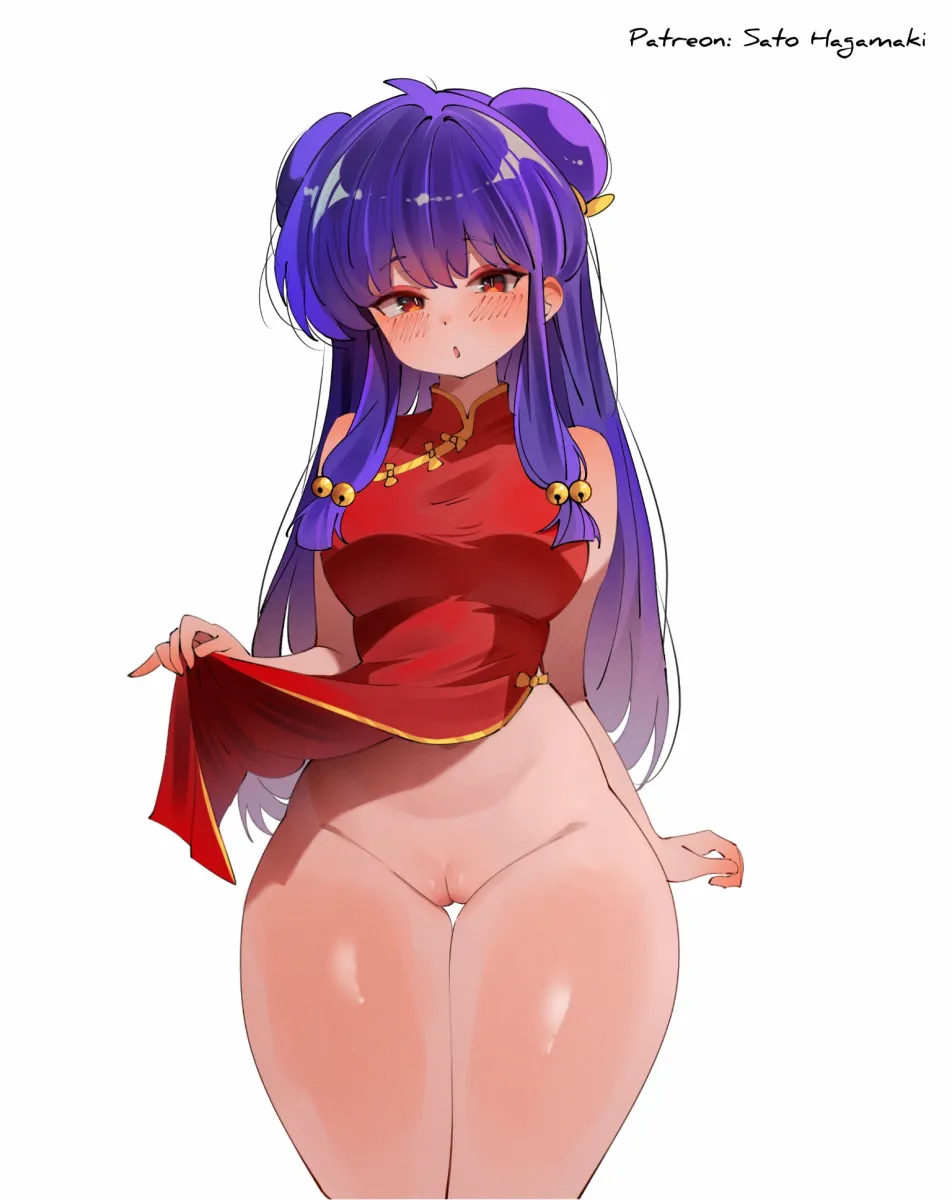 Shampoo (Ranma 1/2) by Sato Hagamaki