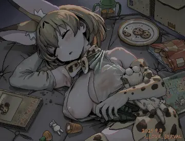 Grey Gloves