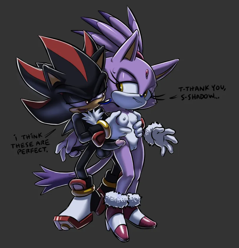 Shadow The Hedgehog, Blaze The Cat by Rockthebull