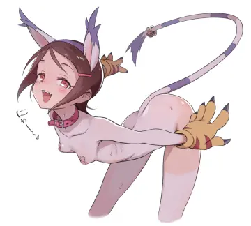 Tailmon rule 34