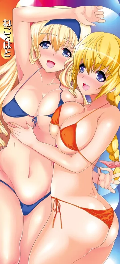 Charlotte Dunois, Cecilia Alcott by Hatoya Mameshichi