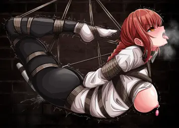 Anal Hook