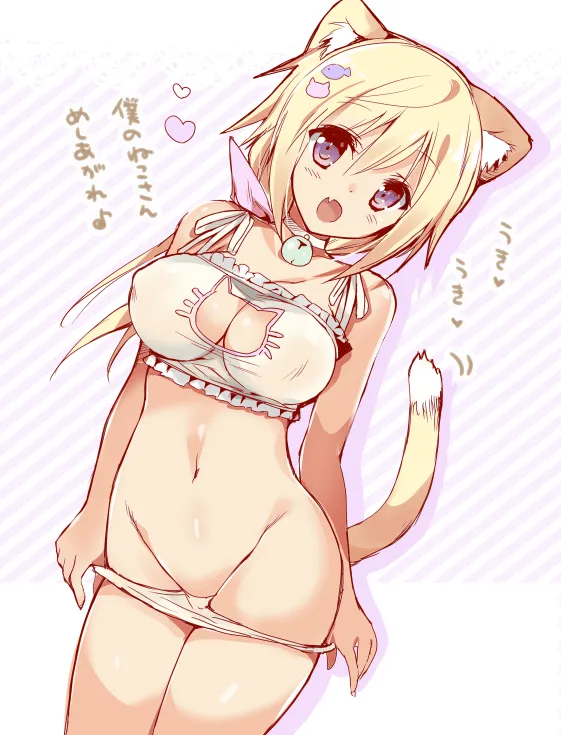 Charlotte Dunois by Hitsuji Takako