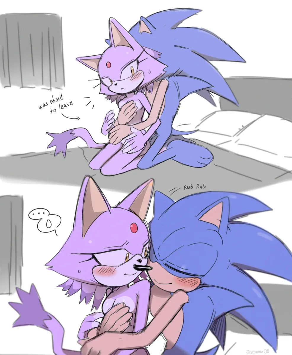 Sonic The Hedgehog, Blaze The Cat by Yeonwu08
