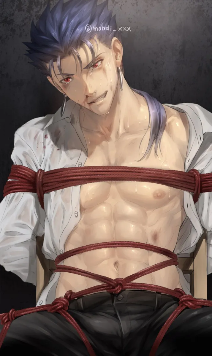 Cu Chulainn (Fate), Cu Chulainn (Lancer) (Fate) by Mondi Hl
