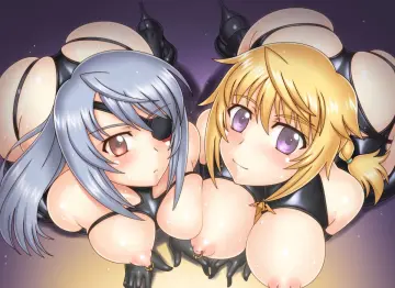 Nipple Rings