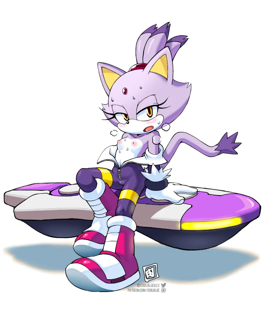 Blaze The Cat, Blaze The Cat (Riders) by Coolblue