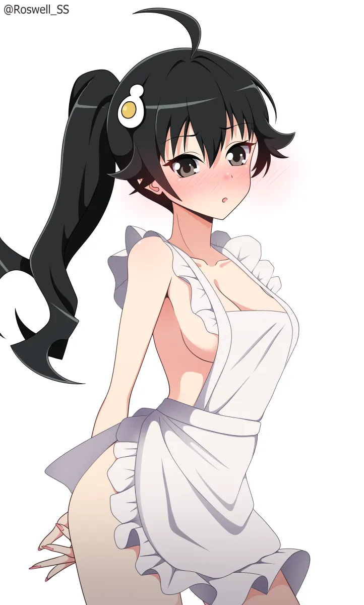 Araragi Karen by Roswell Ss