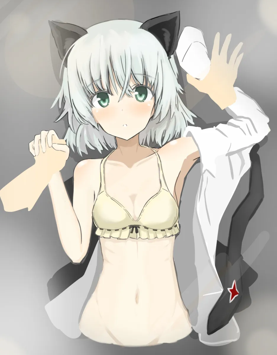 Sanya V. Litvyak by Turkeysand (Fernandear 504)