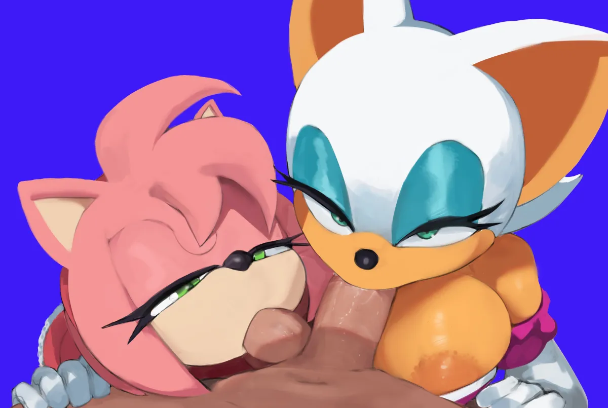 Amy Rose, Rouge The Bat by Cranihum