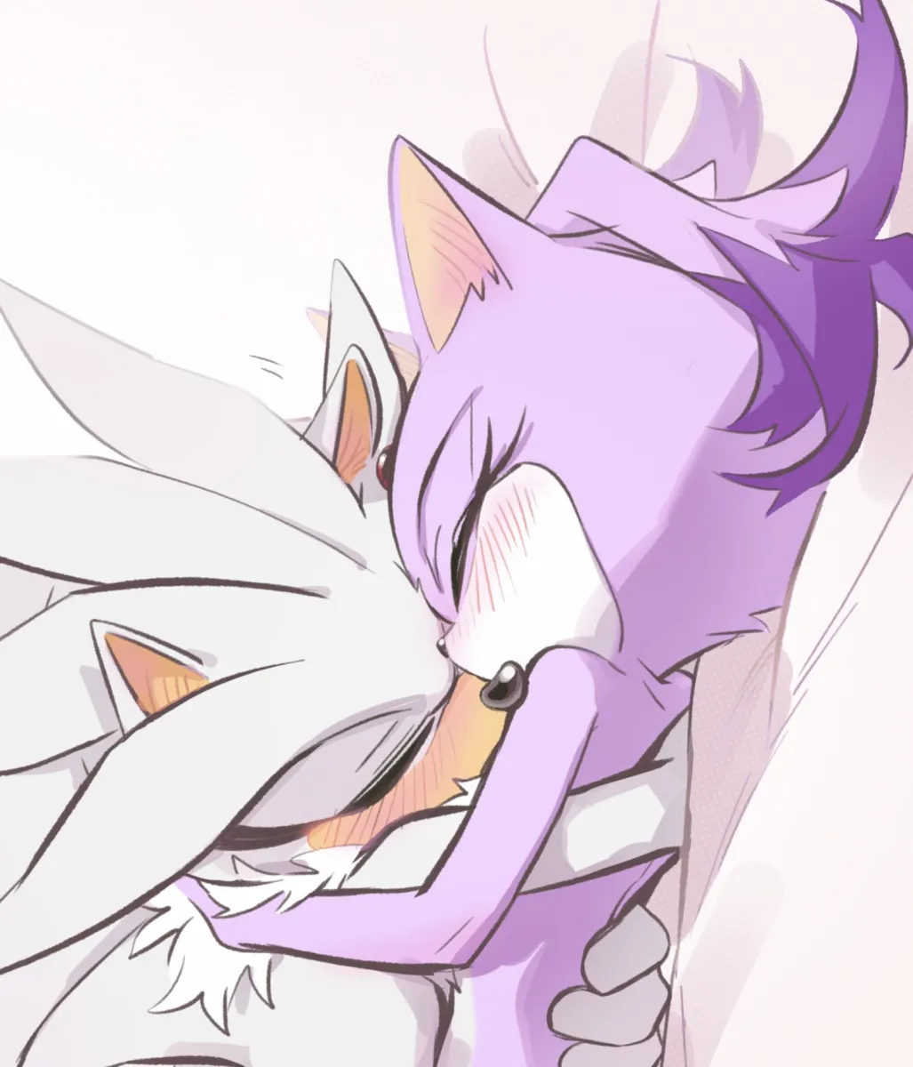 Blaze The Cat, Silver The Hedgehog by Miijiu