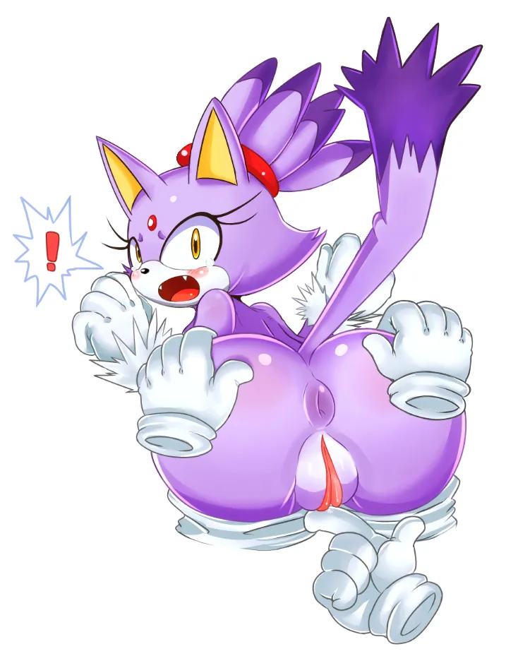 Blaze The Cat by Mato Spectoru