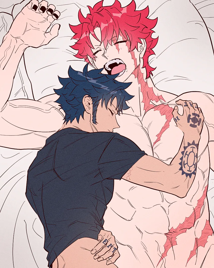 Trafalgar Law, Eustass Kid by Yakumo (Ykm)