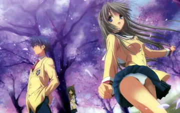 Cherry Blossoms