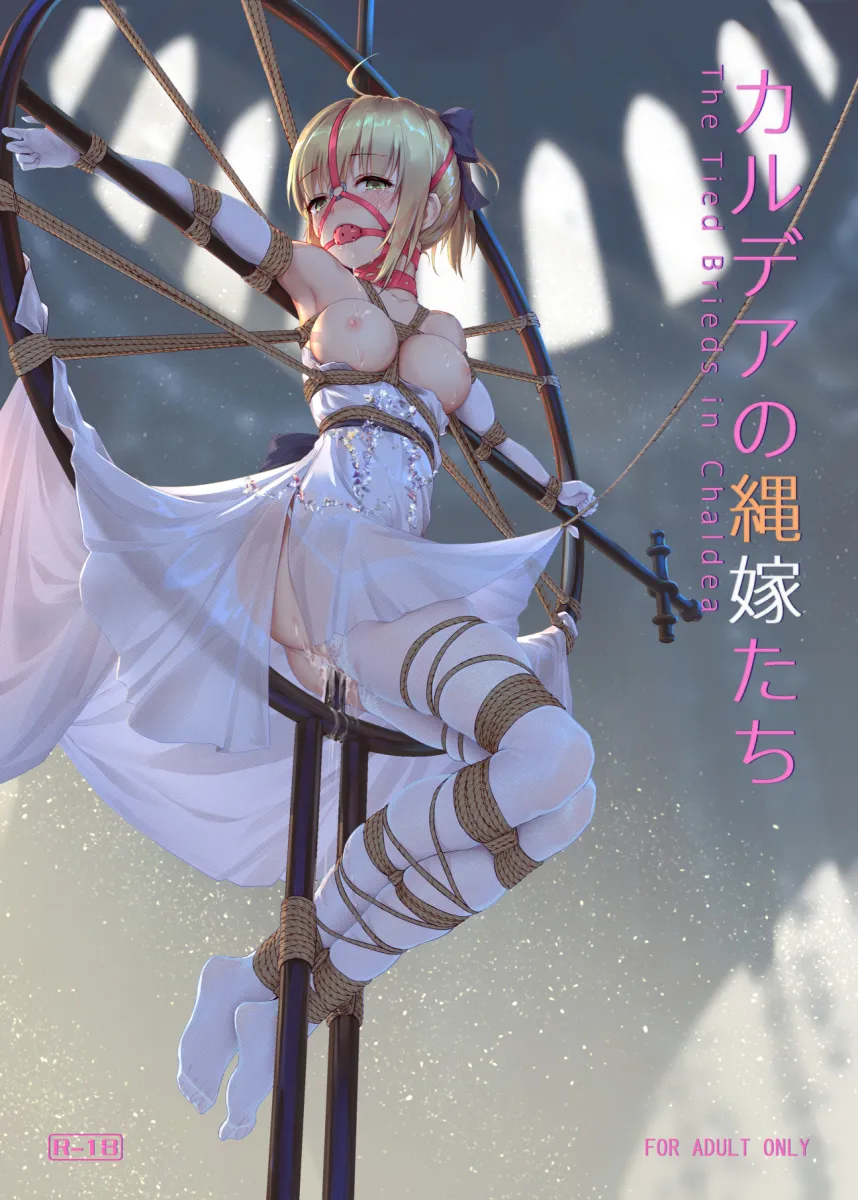 Artoria Pendragon (Fate), Saber Lily by Himitsu (Hi Mi Tsu 2)