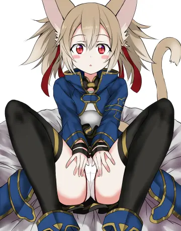 Silica rule 34