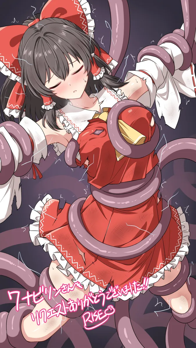 Hakurei Reimu by Rise (Rise19851203)