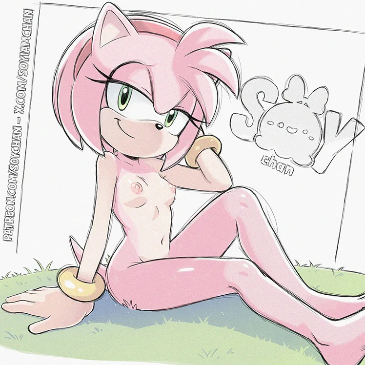 Amy Rose by Soy-Chan