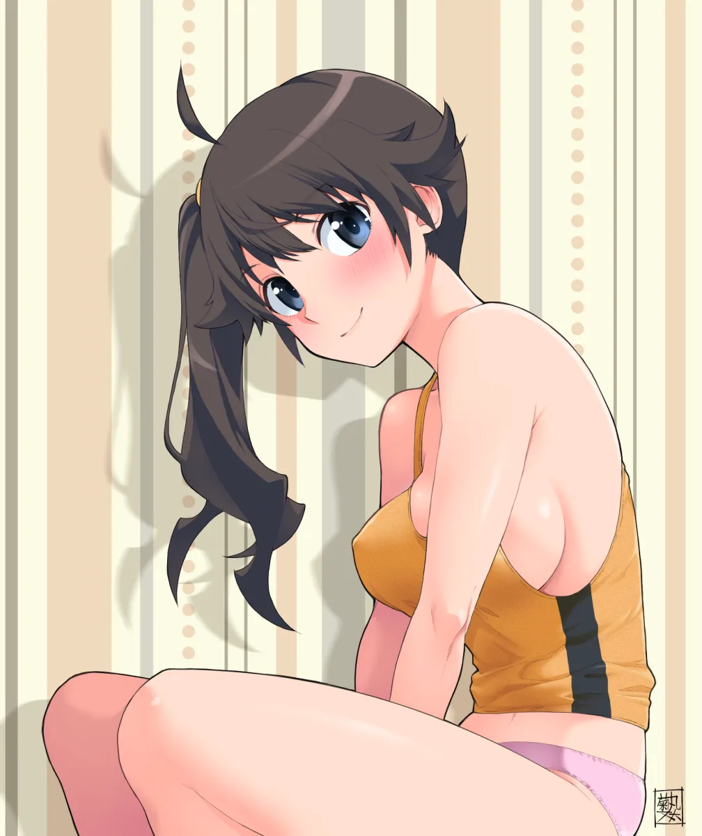 Araragi Karen by Kikumaru Bunta