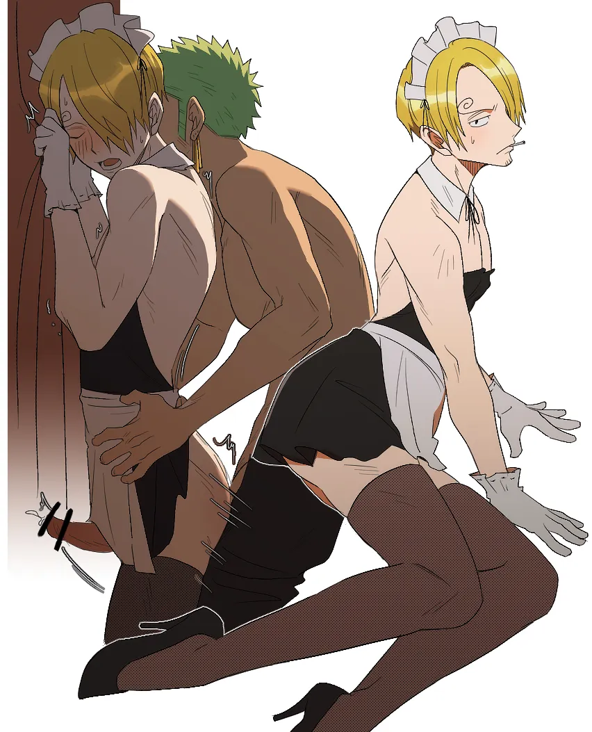 Roronoa Zoro, Sanji (One Piece) by P5Naq Pv